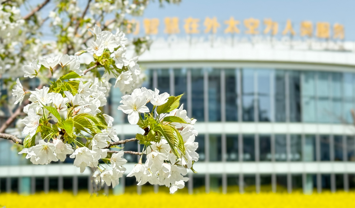 定格之约｜2025年至尊国际精工春日大赏